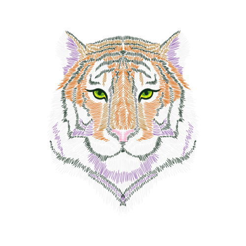 Lion Animals Lion Animals