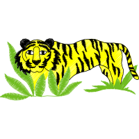 Lion Animals Lion Animals