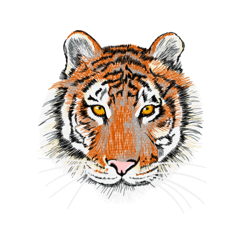 Lion Animals Lion Animals