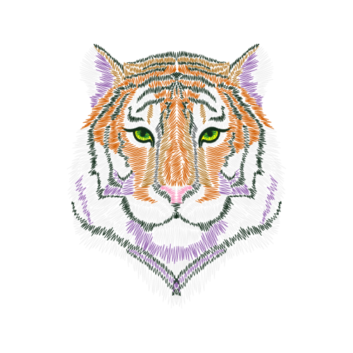 Lion Animals Lion Animals