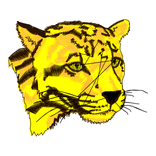 Lion Animals Lion Animals