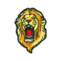 Lion Animals Lion Animals