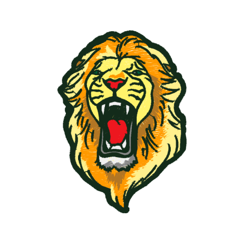 Lion Animals Lion Animals