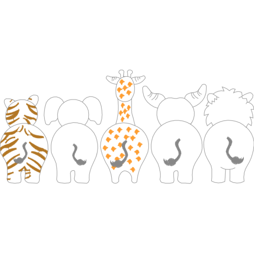 Lion Animals Lion Animals