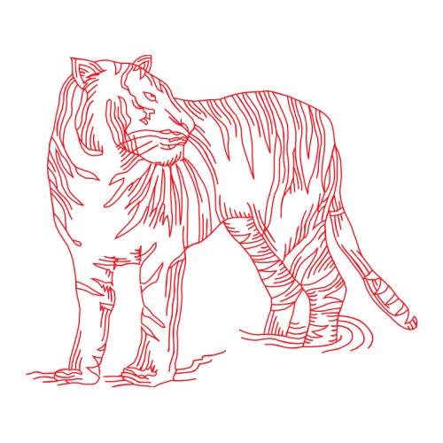 Lion Animals Lion Animals