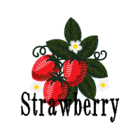 Machine Animals Machine Animals