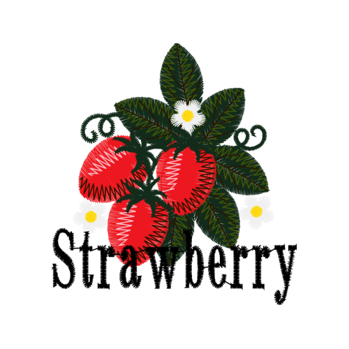 Machine Animals Machine Animals