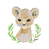 Marsupials Animals Marsupials Animals