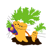 Milk Animals Milk Animals