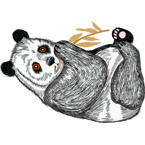 Mouse Lemur Animals Mouse Lemur Animals