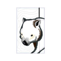 Polar Bear Animals Polar Bear Animals