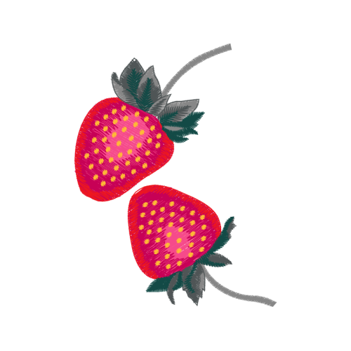 Seedless Fruit Animals Seedless Fruit Animals