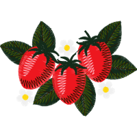 Seedless Fruit Animals Seedless Fruit Animals