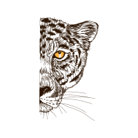 Sketch Animals Sketch Animals