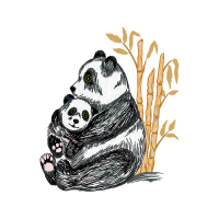Slow Loris Animals Slow Loris Animals