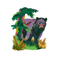Spectacled Bear Animals Spectacled Bear Animals