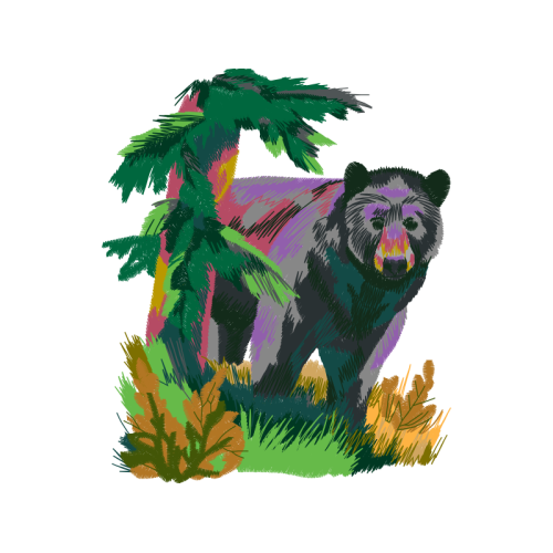 Spectacled Bear Animals Spectacled Bear Animals