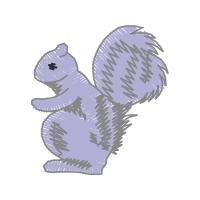 Squirrel Animals Squirrel Animals