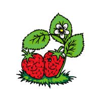 Strawberry Animals Strawberry Animals
