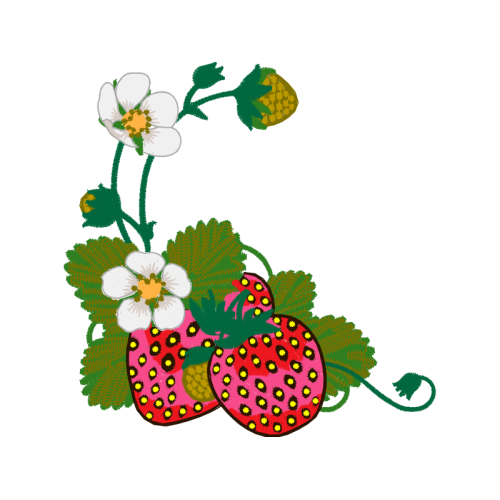 Strawberry Animals Strawberry Animals