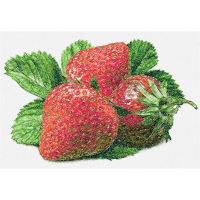 Strawberry Animals Strawberry Animals