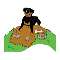 Teddy Bear Animals Teddy Bear Animals