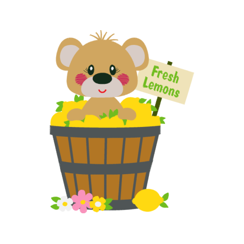 Teddy Bear Animals Teddy Bear Animals