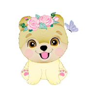 Teddy Bear Animals Teddy Bear Animals