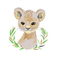 Teddy Bear Animals Teddy Bear Animals