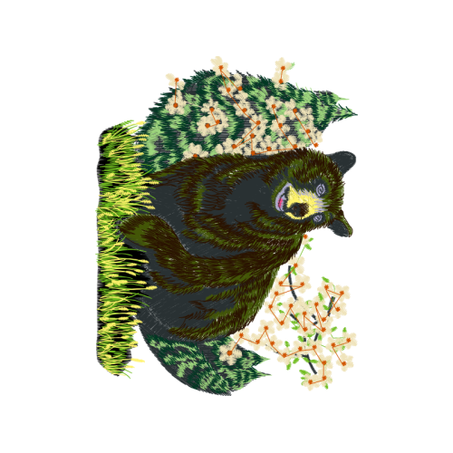 The Arts Animals The Arts Animals