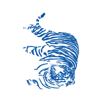 Tiger Animals Tiger Animals