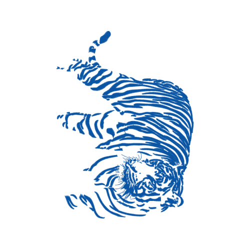 Tiger Animals Tiger Animals