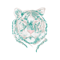 Tiger Animals Tiger Animals