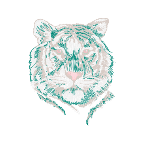 Tiger Animals Tiger Animals