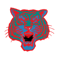 Tiger Animals Tiger Animals