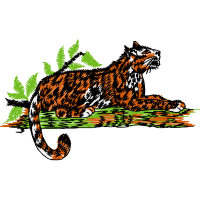 Tiger Animals Tiger Animals