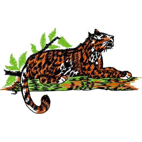 Tiger Animals Tiger Animals