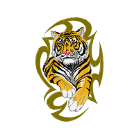 Tiger Animals Tiger Animals