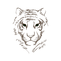 Tiger Animals Tiger Animals