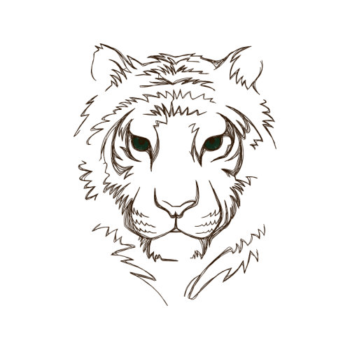 Tiger Animals Tiger Animals