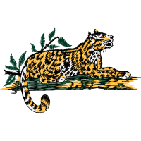 Tiger Animals Tiger Animals