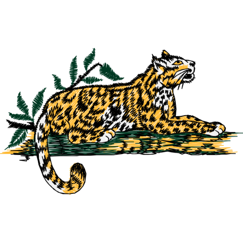 Tiger Animals Tiger Animals