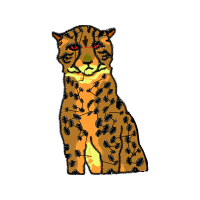 Tiger Animals Tiger Animals