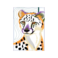 Tiger Animals Tiger Animals