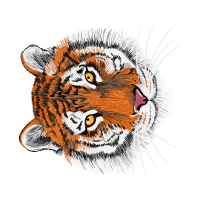 Tiger Animals Tiger Animals