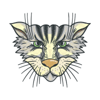 Tiger Animals Tiger Animals