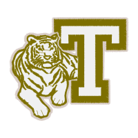 Tiger Animals Tiger Animals