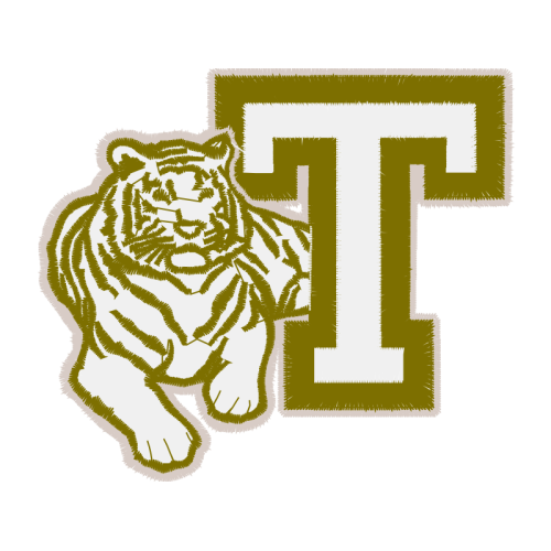 Tiger Animals Tiger Animals