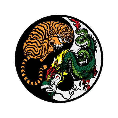 Tiger Animals Tiger Animals