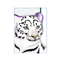 Tiger Animals Tiger Animals